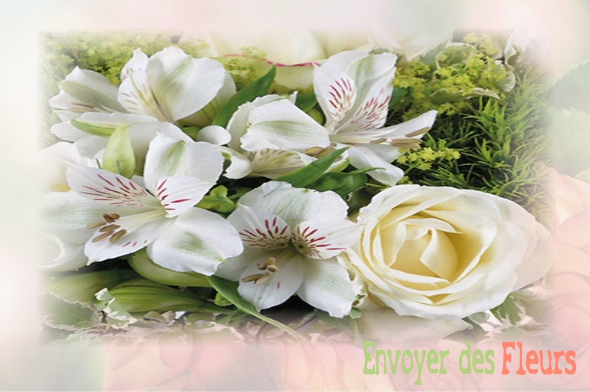 envoyer des fleurs à à SALLES-DE-BELVES